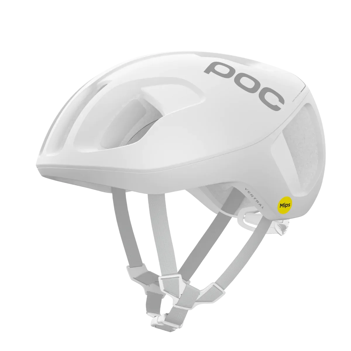 Ventral MIPS