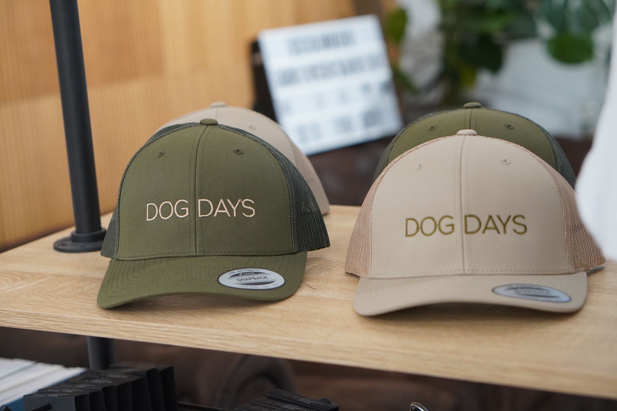 DOG DAYS SUEDE CAP