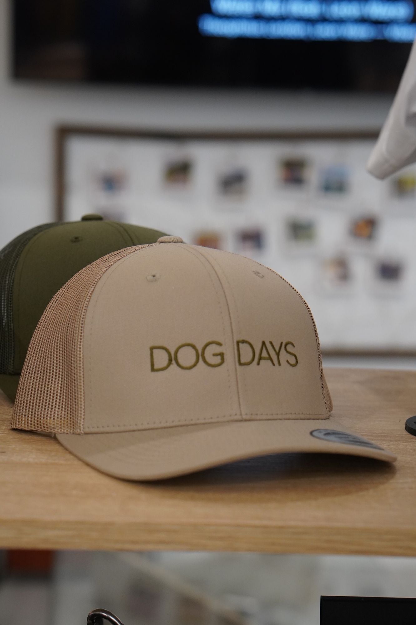 DOG DAYS SUEDE CAP