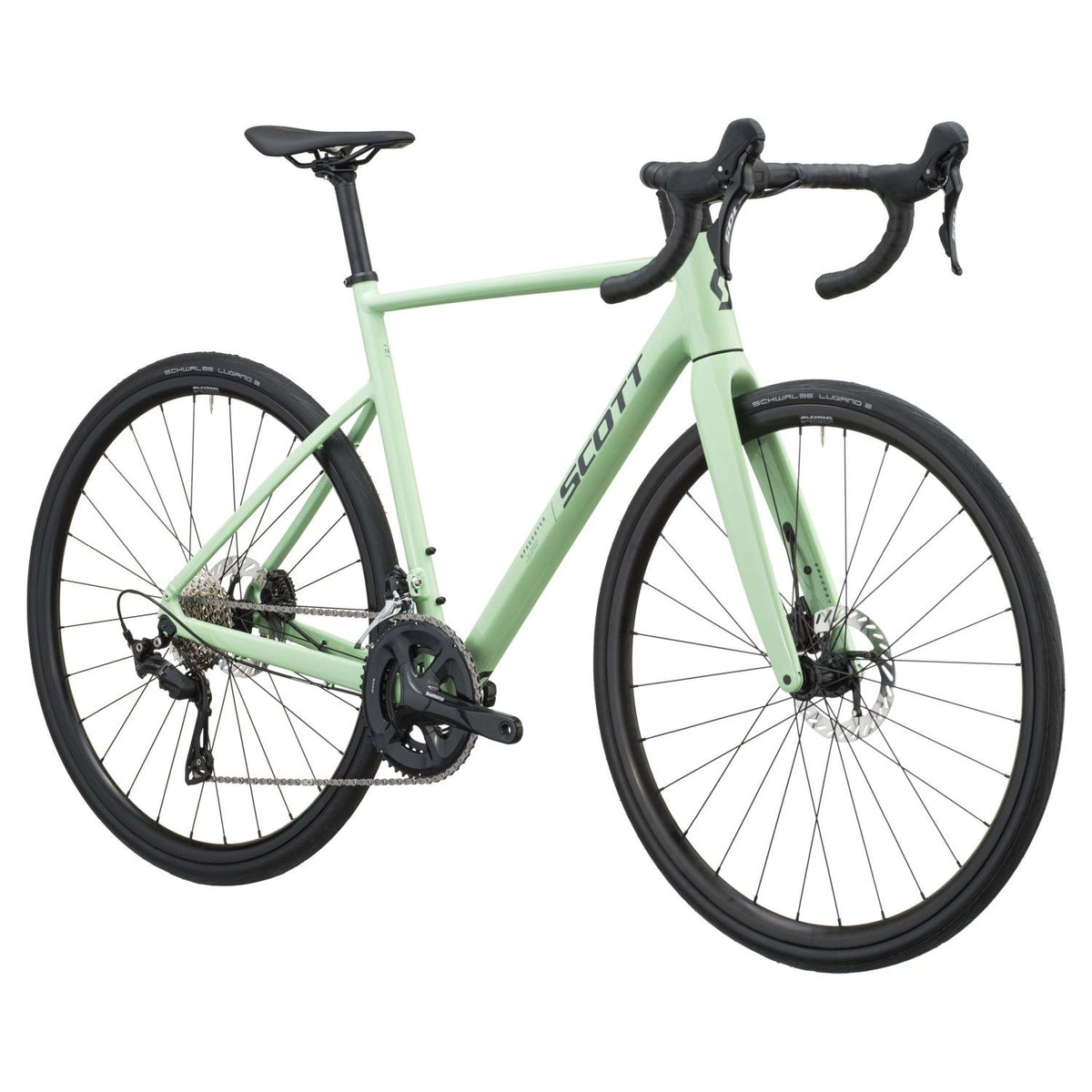 #Color_Pastel Green
