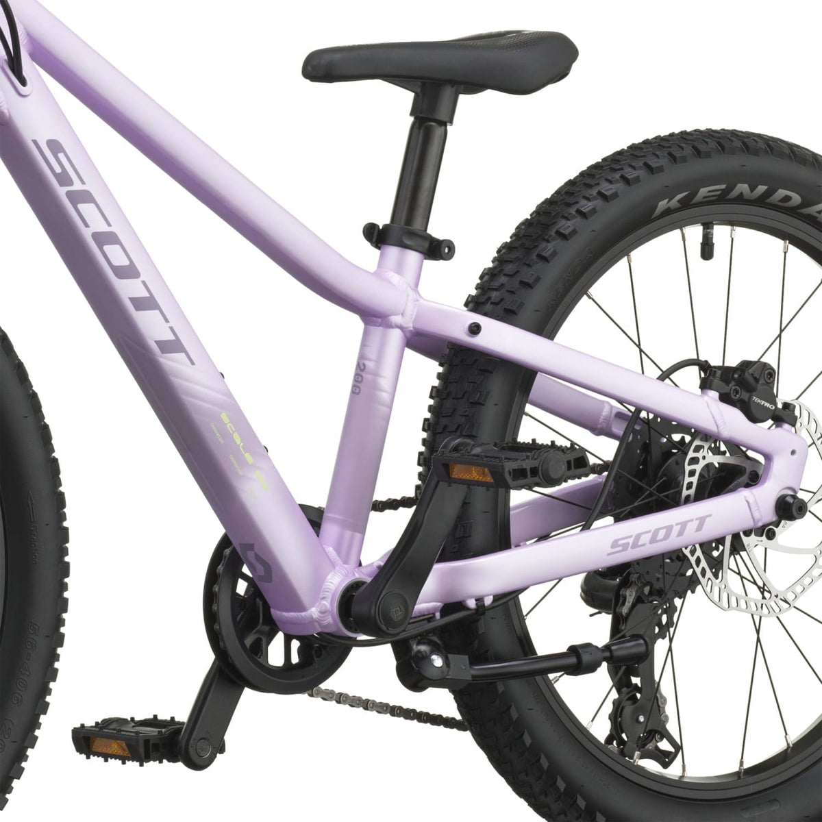 #Color_Petal Purple