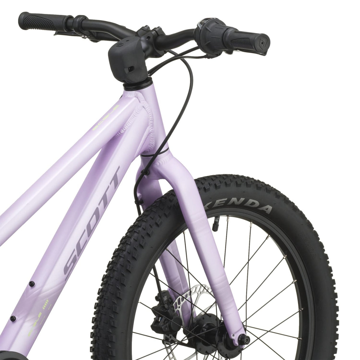 #Color_Petal Purple