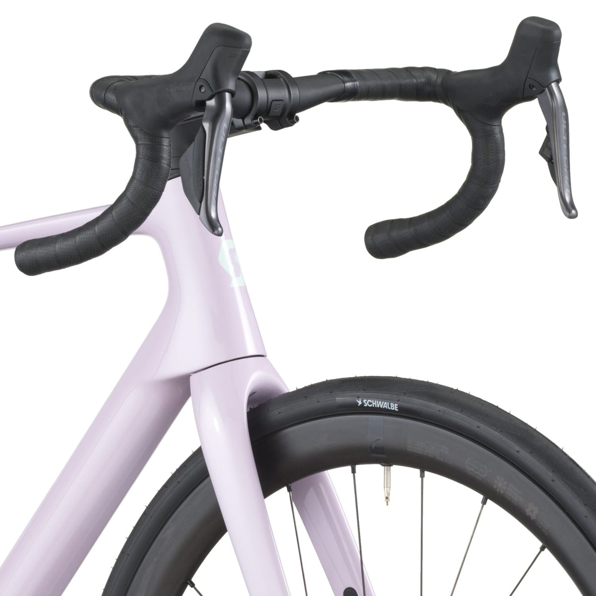 #Color_Violet Pink