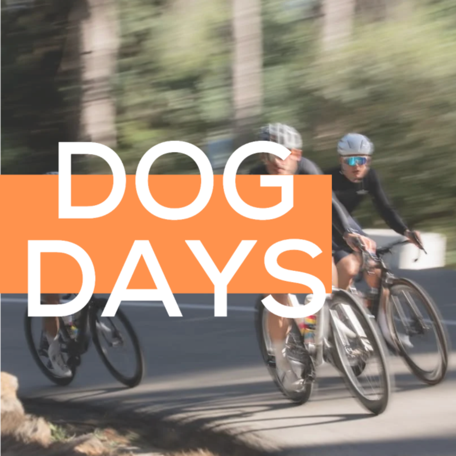 Dog Days Magazine VOL. III
