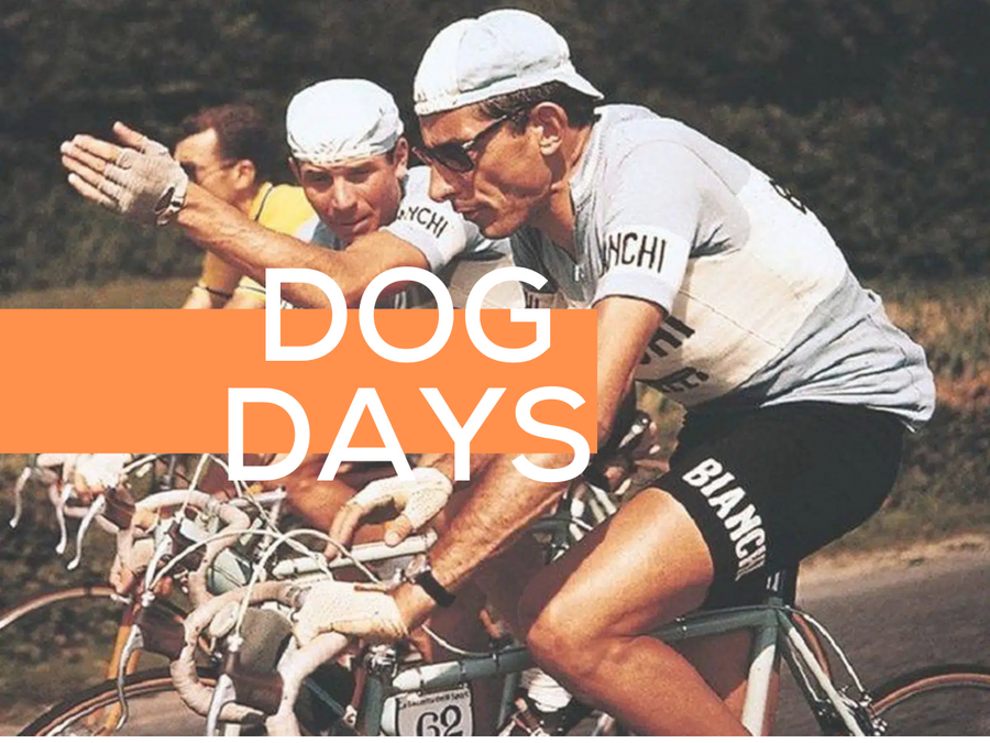 Lanzamos la primera revista de Dog Days: ciclismo, comunidad y cultura sobre dos ruedas