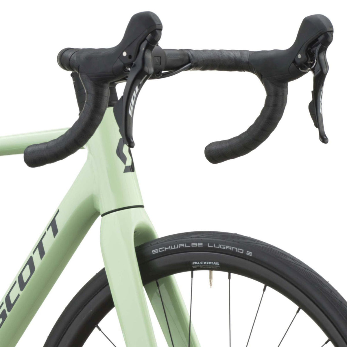 #Color_Pastel Green