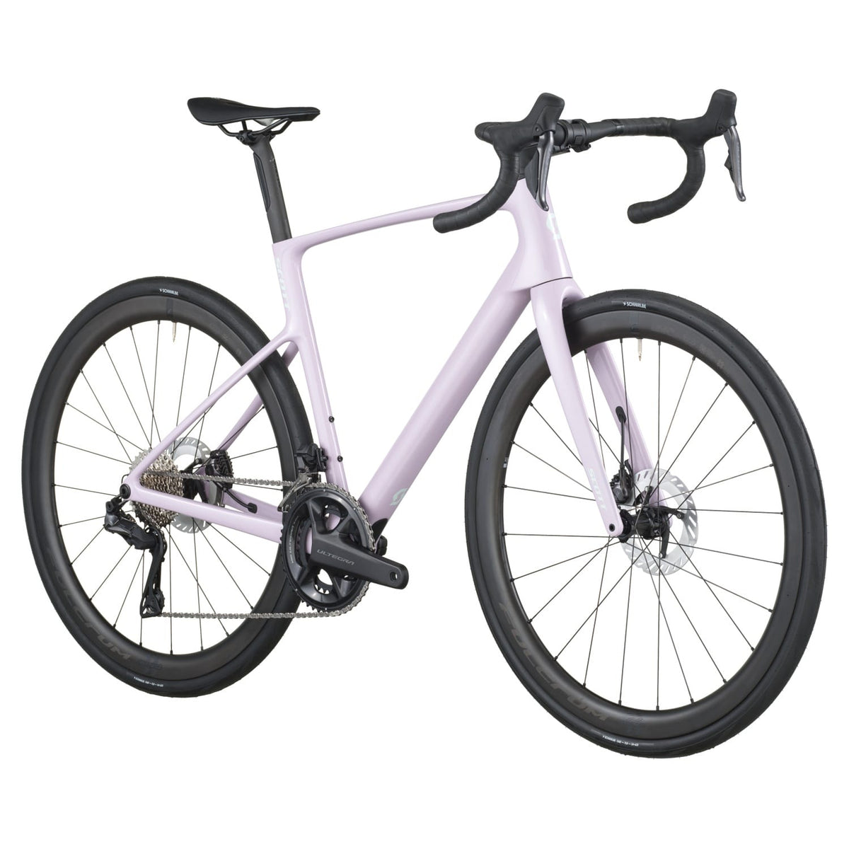 #Color_Violet Pink
