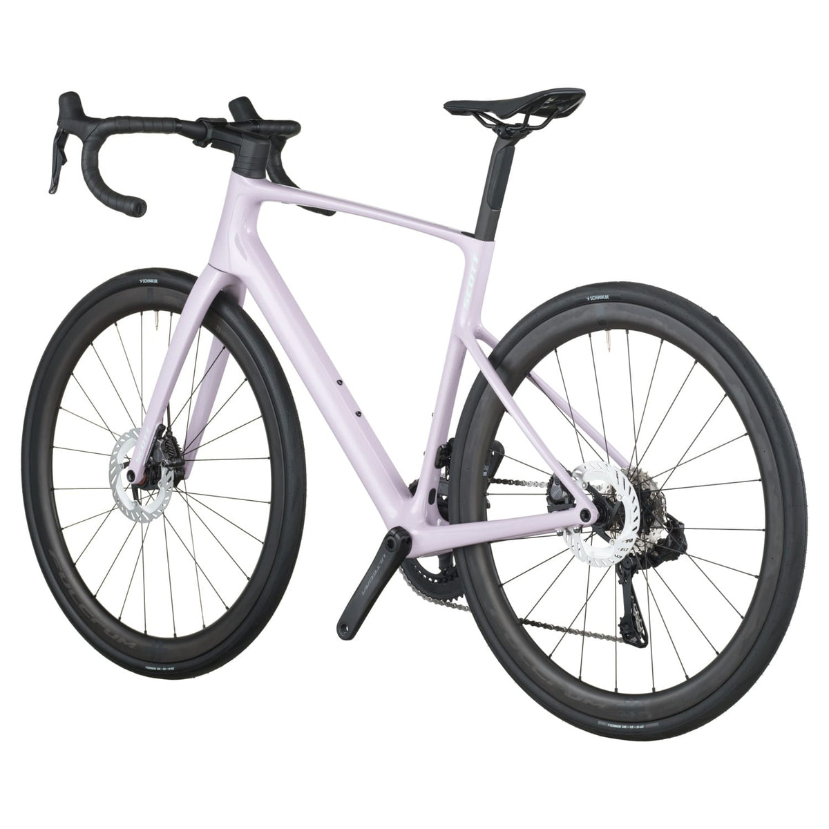 #Color_Violet Pink