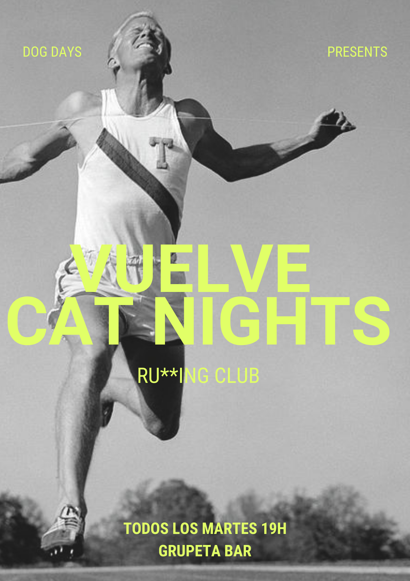 ¡Vuelve Cat Nights!