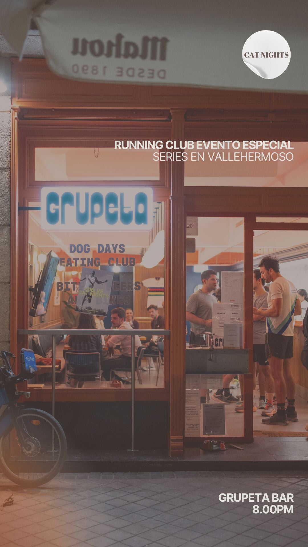 Cat Nights – Series en Vallehermoso