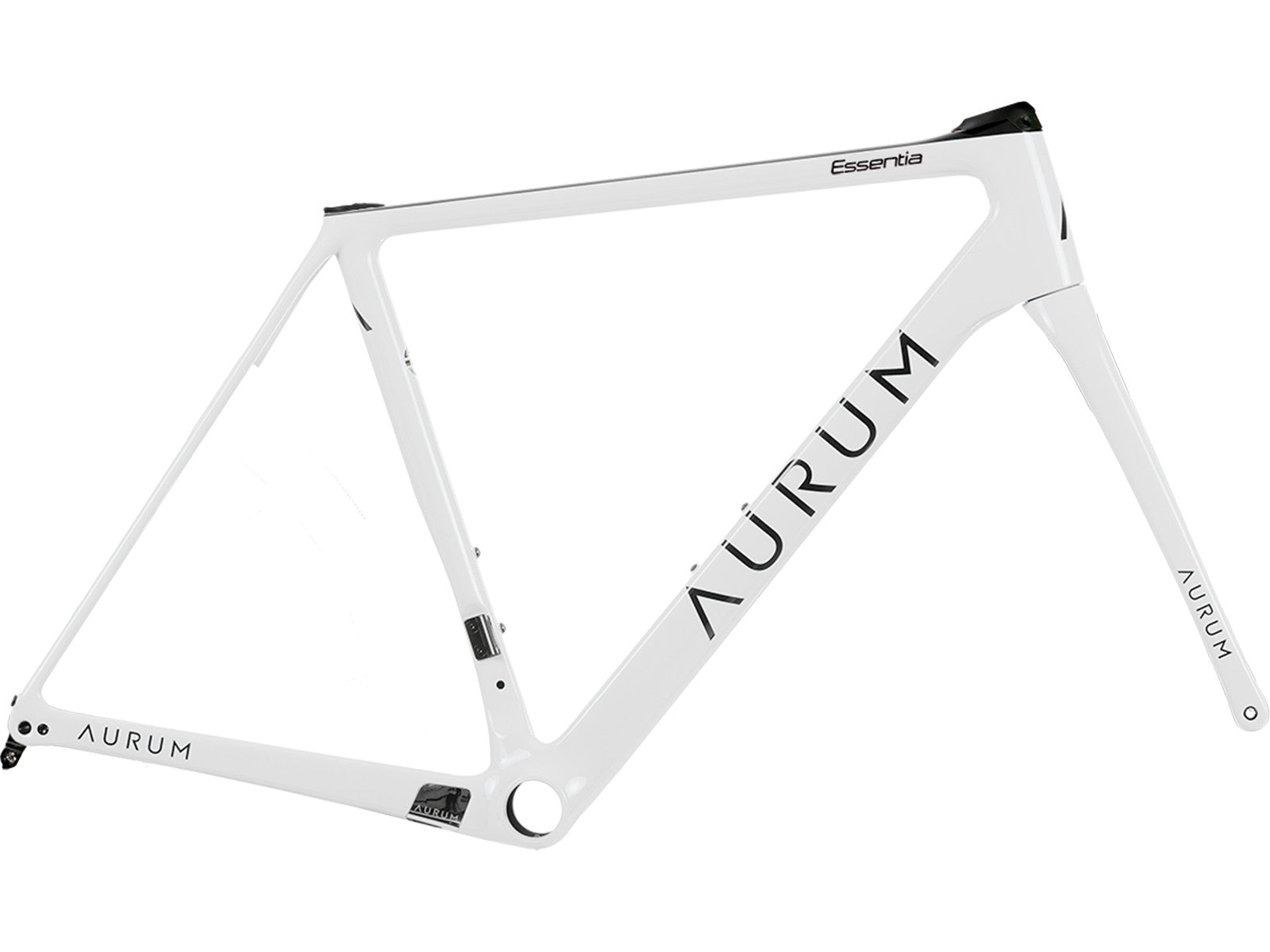 Frameset Aurum Essentia con Manillar Integrado