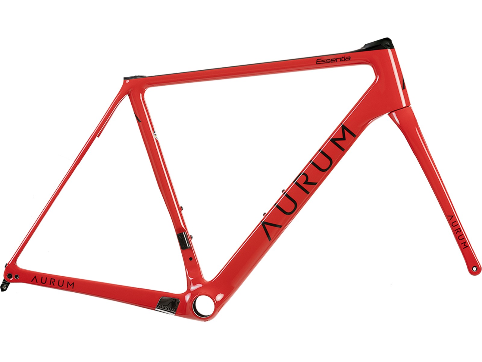 Frameset Aurum Essentia con Manillar Integrado